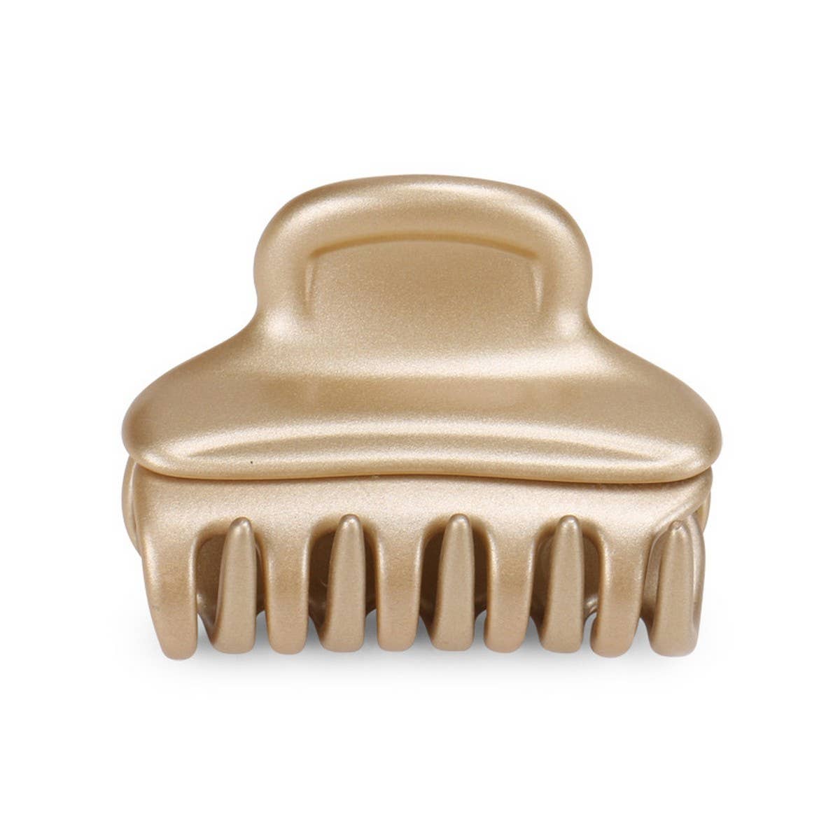 ACETATE GLOSSY MEDIUM SIZE HAIRPIN_CWAHA4242