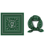 FAUX SILK PAISLEY PRINT SCARF VINTAGE NECK WRAP_CWASC0654