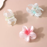 PEARLESCENT FLOWER HAIR CLAW GRADIENT CHIC CLIP_CWAHA1044