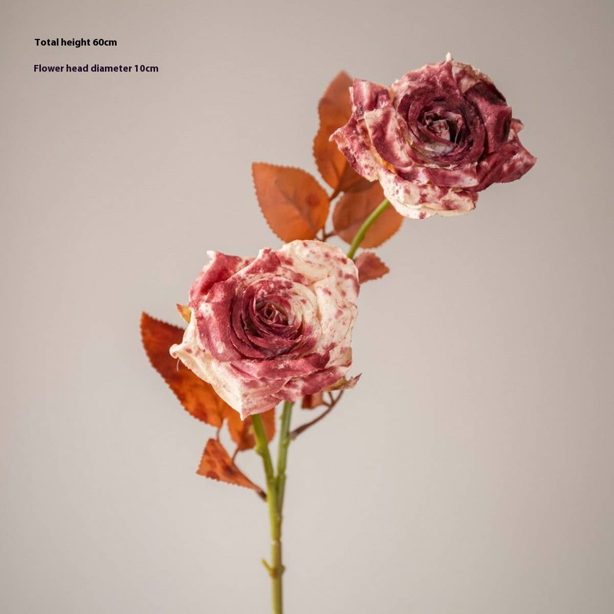 DRIED TONE BURNT EDGE ROSE BOUQUET FOR DECOR_CWMM6577