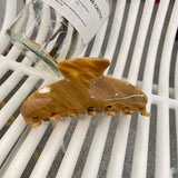 Wood Grain Acetate Hair Claw Color Stripe Clip_Cwaha2154