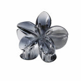 NEW GRADIENT PLUMERIA CLAW CLIP FOR WOMEN_CWAHA1057
