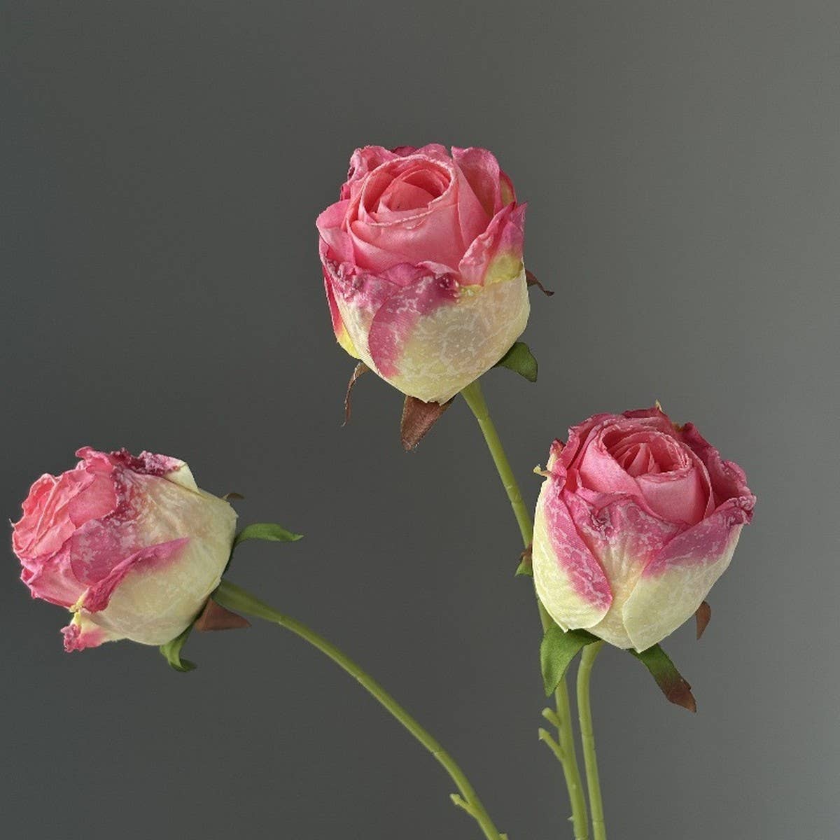 Vintage Burnt Edge Rose Faux Flower Bouquet_Cwmm6584