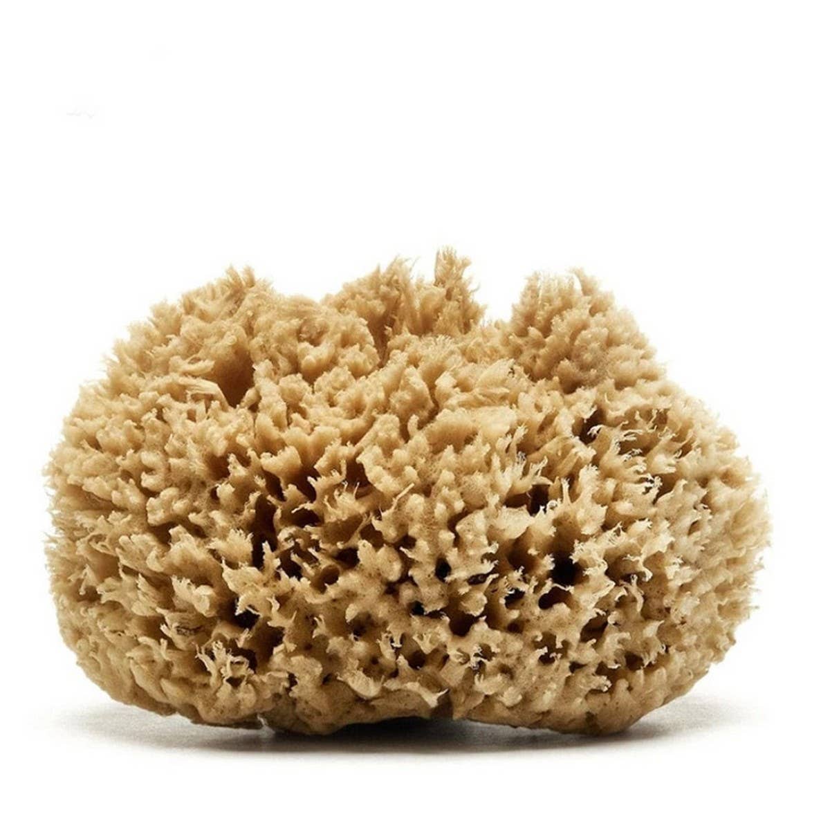 NATURAL WOOL SPONGE BATH SUPER SOFT BATH SPONGE_CWMM3420