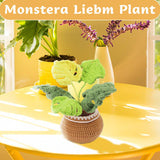 HANDMADE DIY MONSTERA DOLL CROCHET MATERIAL PACK_CWMM0821