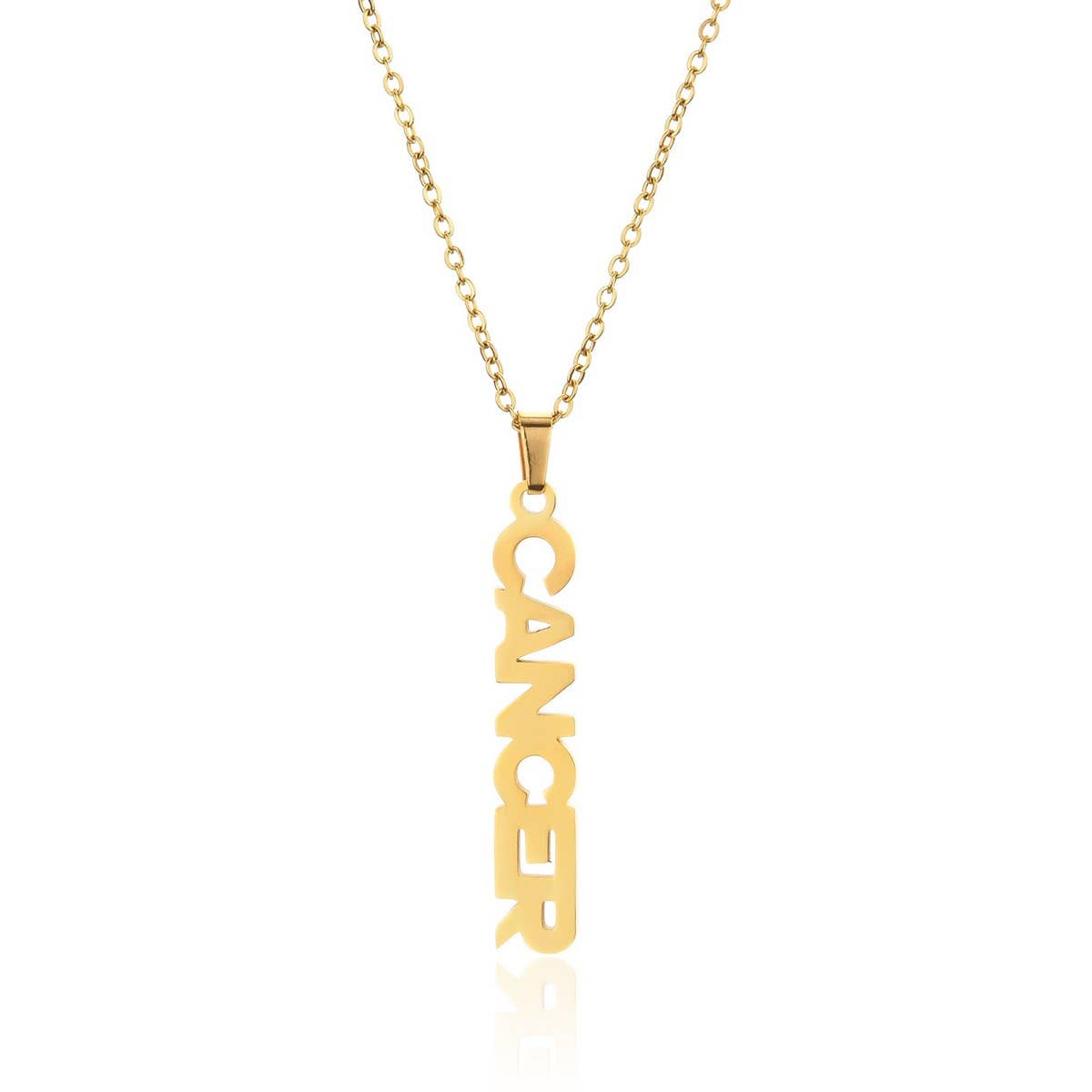 CLAVICLE CHAIN TWELVE ZODIAC TITANIUM NECKLACE_CWMM2717