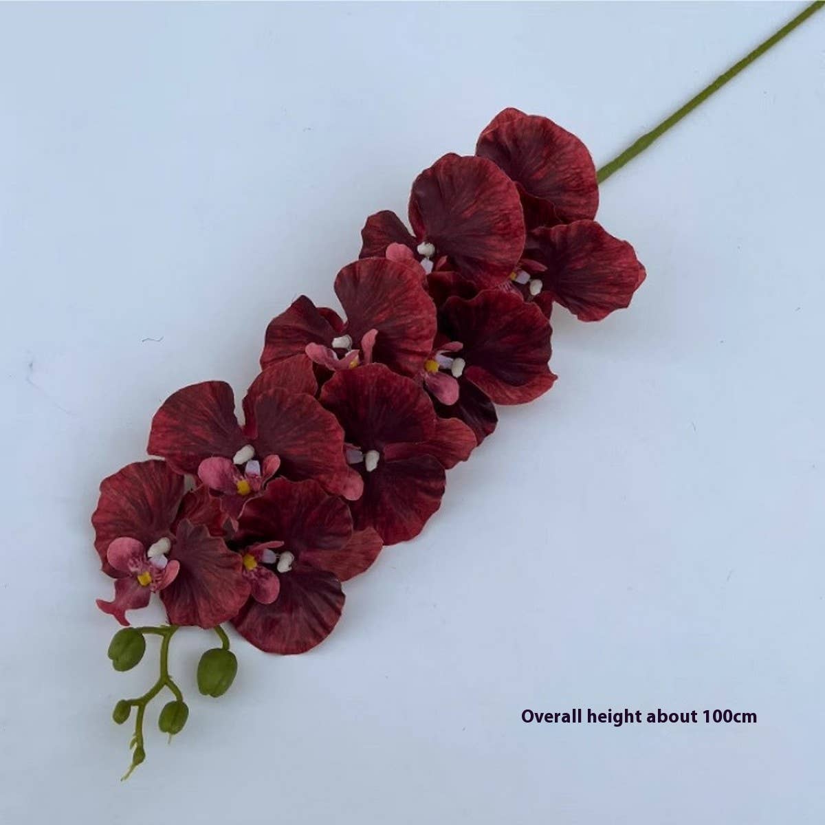 Vintage 9-Head Silk Butterfly Orchid Stem_Cwmm6507