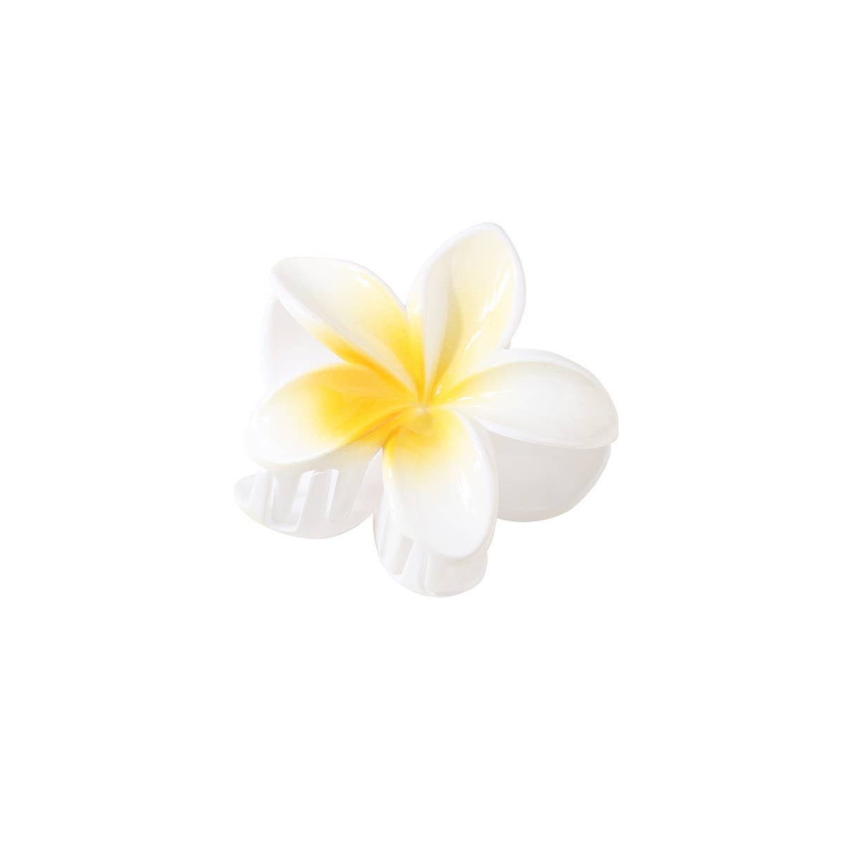 GRADIENT FLOWER HAIR CLAW PLUMERIA BEACH CLIP_CWMM4940