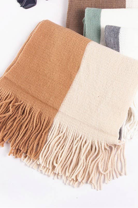 Colorblock Knit Scarf Long Fringe Winter Wrap