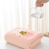 EMBROIDERED THICK CORAL FLEECE BATH TOWEL SET_CWMM2328