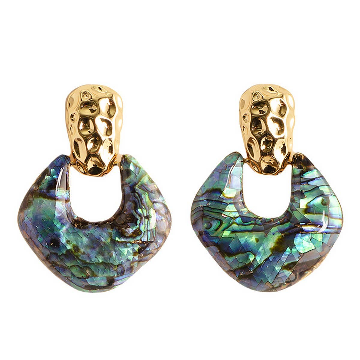 PERSONALIZED SNAKE PATTERN ABALONE EARRINGS_CWMM4285
