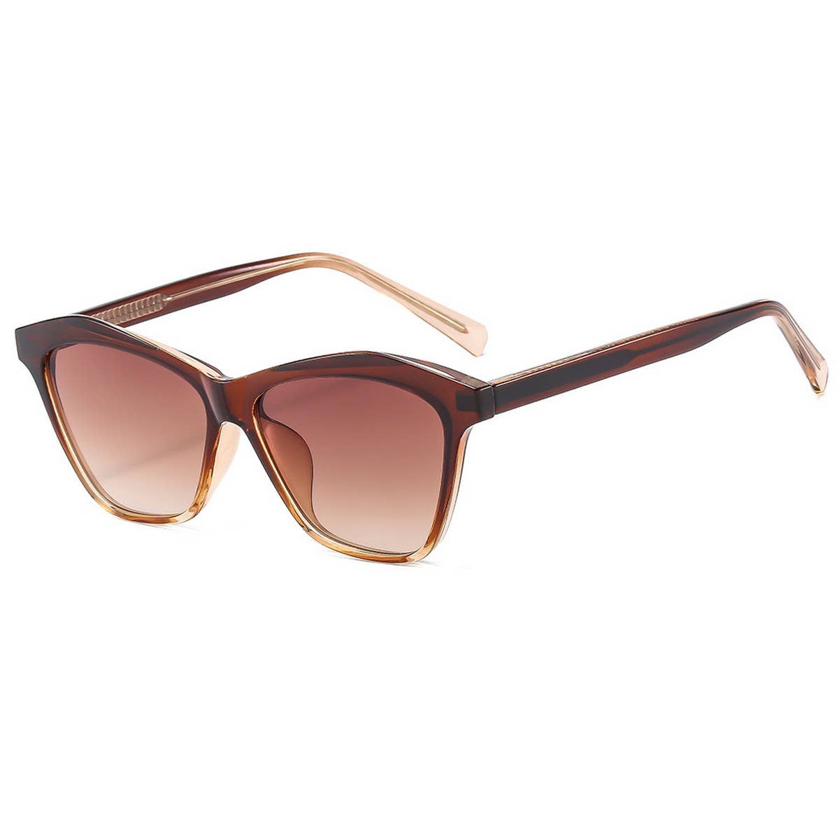 FASHION COLORBLOCK CLIP ON TEMPLE SUNGLASSES WOMEN_CWASG1171