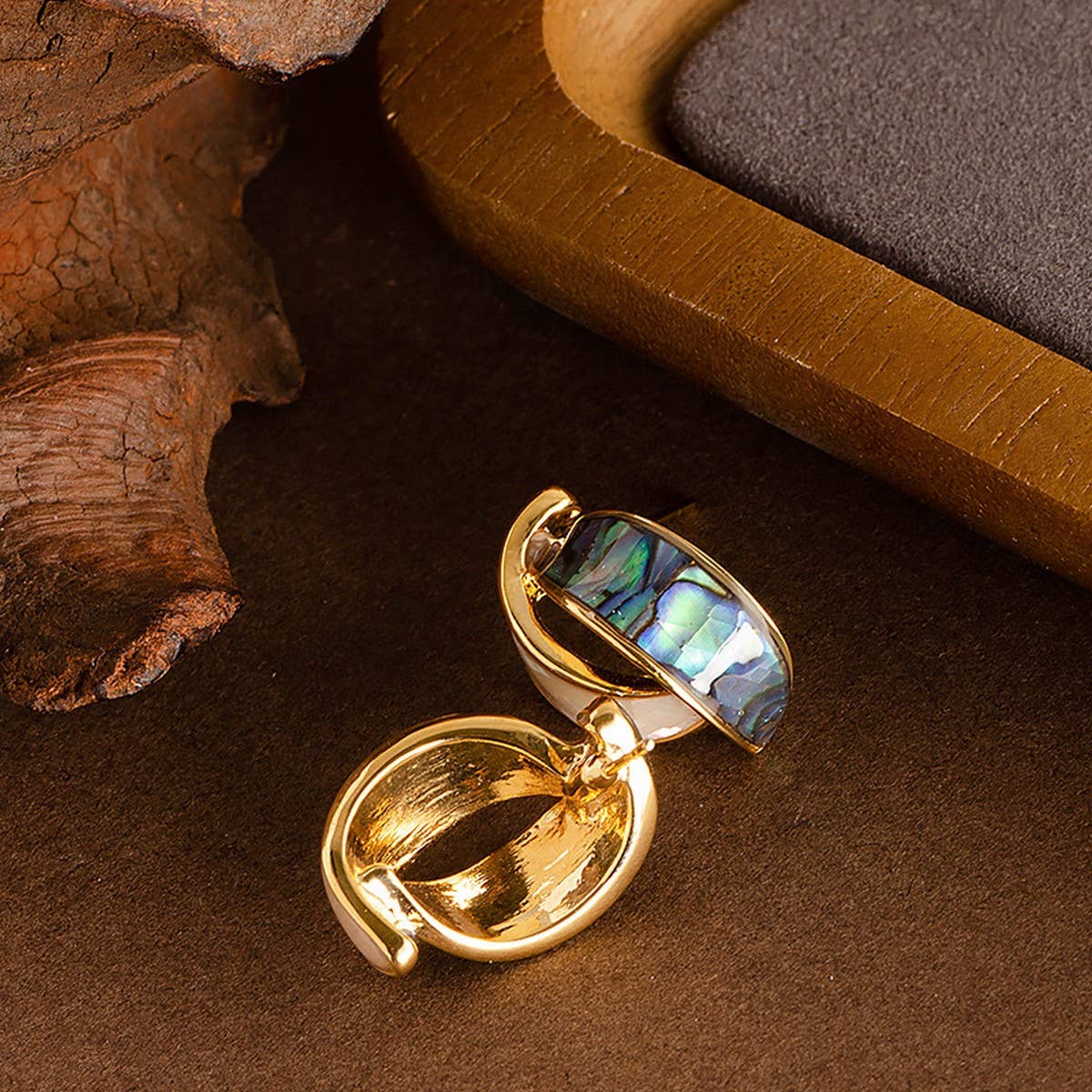 COLORFUL ABALONE INLAID SILVER NEEDLE EARRINGS_CWMM4291