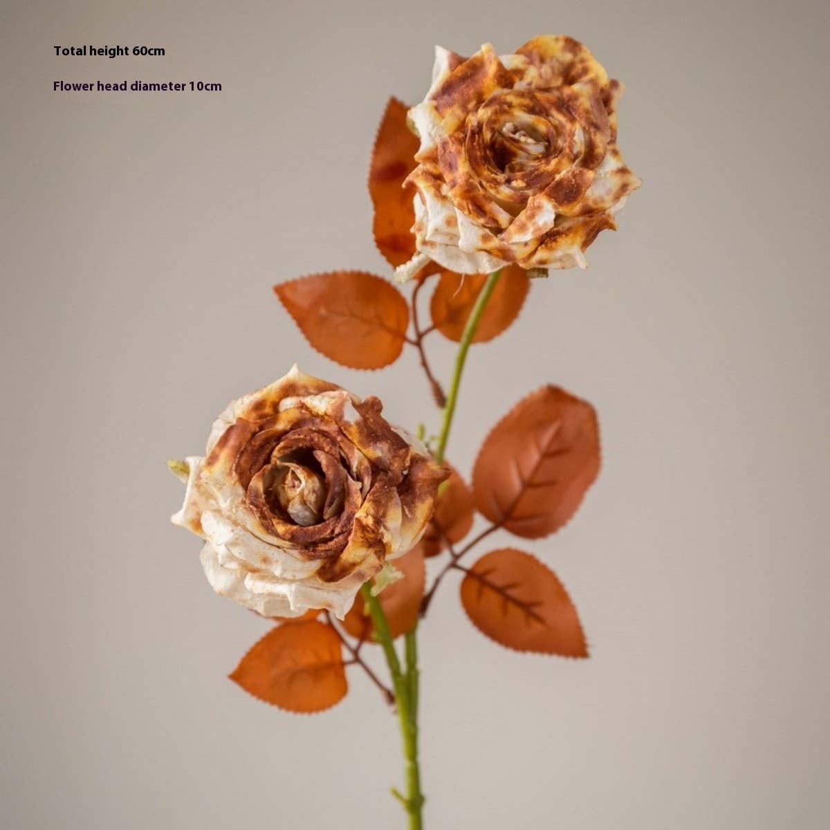 DRIED TONE BURNT EDGE ROSE BOUQUET FOR DECOR_CWMM6577