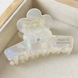 Elegant Acetate Flower Colorful Hair Clip_Cwaha07187