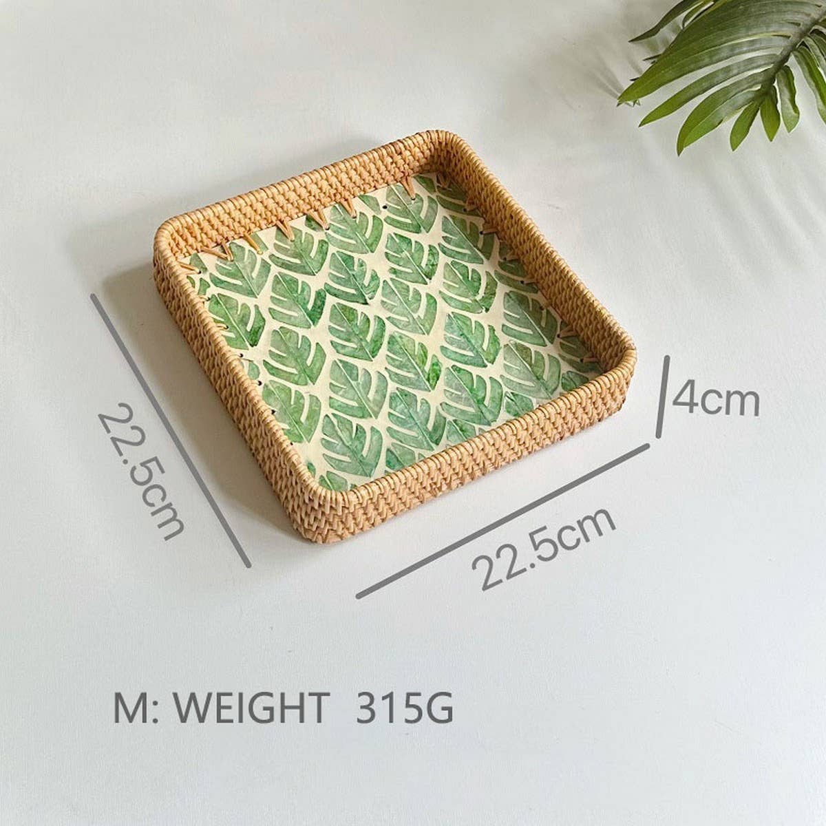 RATTAN COLORFUL SHELL CREATIVE HANDMADE FRUIT PLATE_CWMM4425