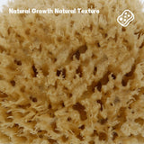 NATURAL COFFEE COLOR SPONGE HONEYCOMB SPONGE_CWMM3418