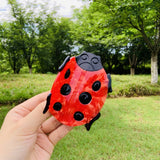 CUTE LADYBUG INSECT SHAPE ACETATE HAIR CLAW CLIP_CWASC1603