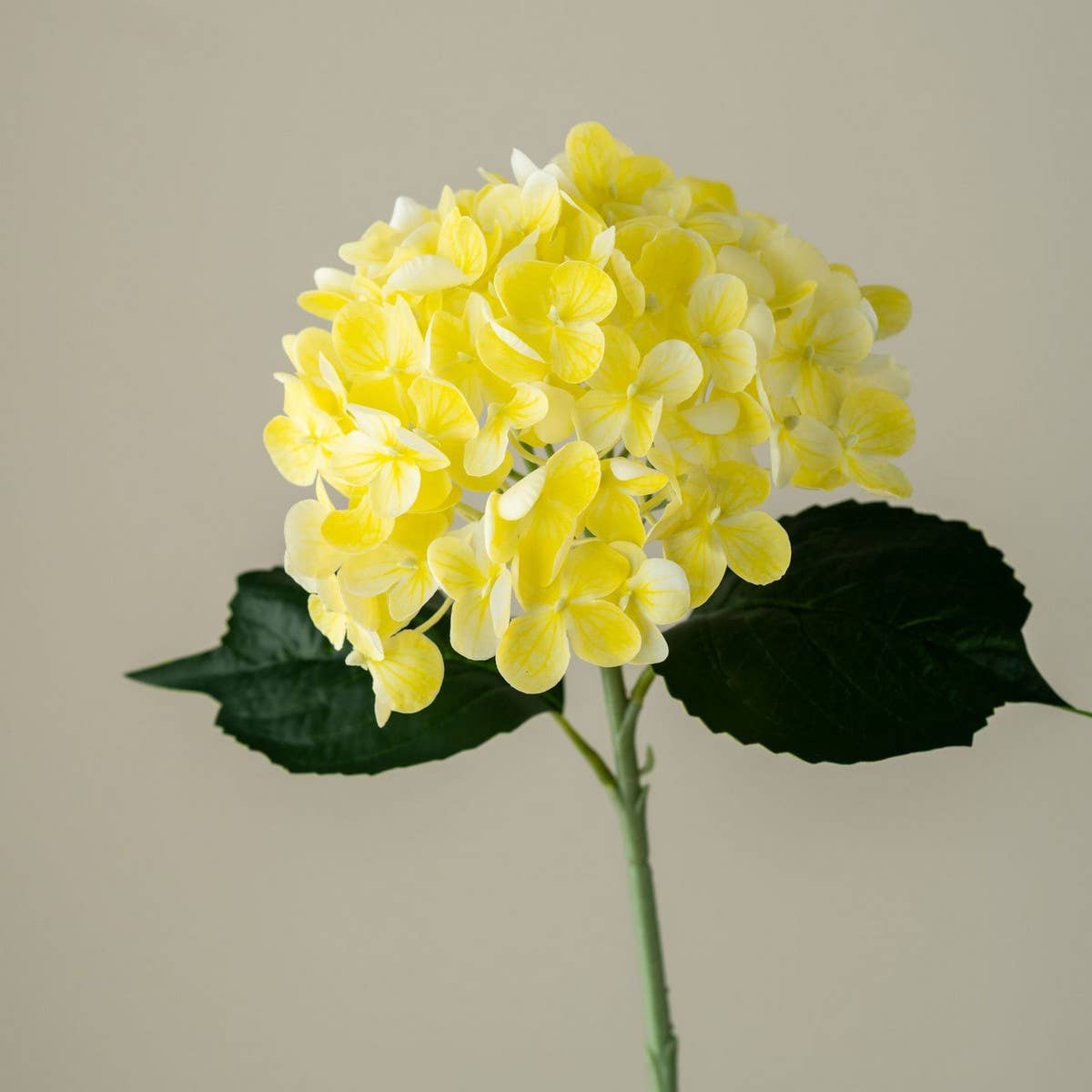 REAL TOUCH HYDRANGEA ARRANGEMENT FOR HOME DECOR_CWMM6521