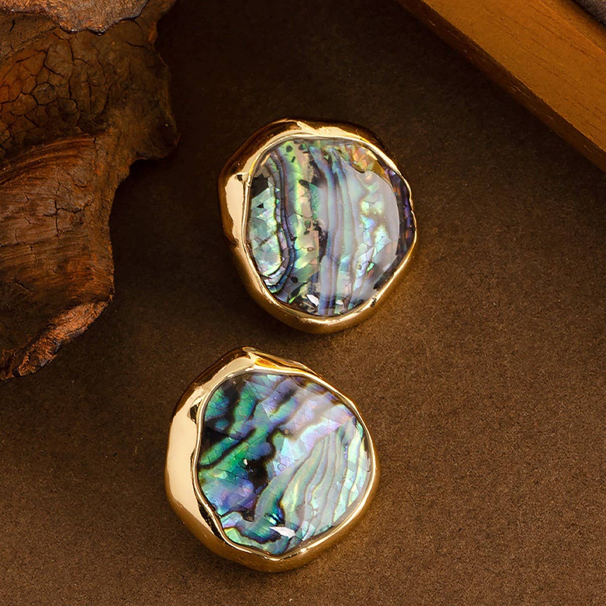 NATURAL ABALONE SHELL SILVER NEEDLE EARRINGS_CWMM4295