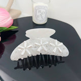 TEMPERAMENT CUTE HIGH END HAIRPIN_CWAHA1580