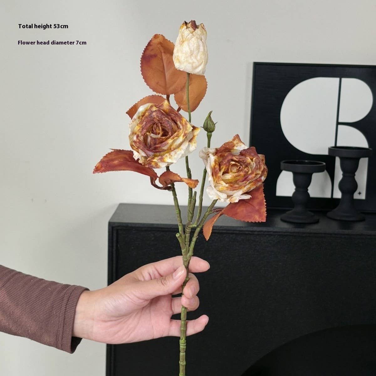 Vintage Autumn Oil Painting Burnt Rose_Cwmm6514