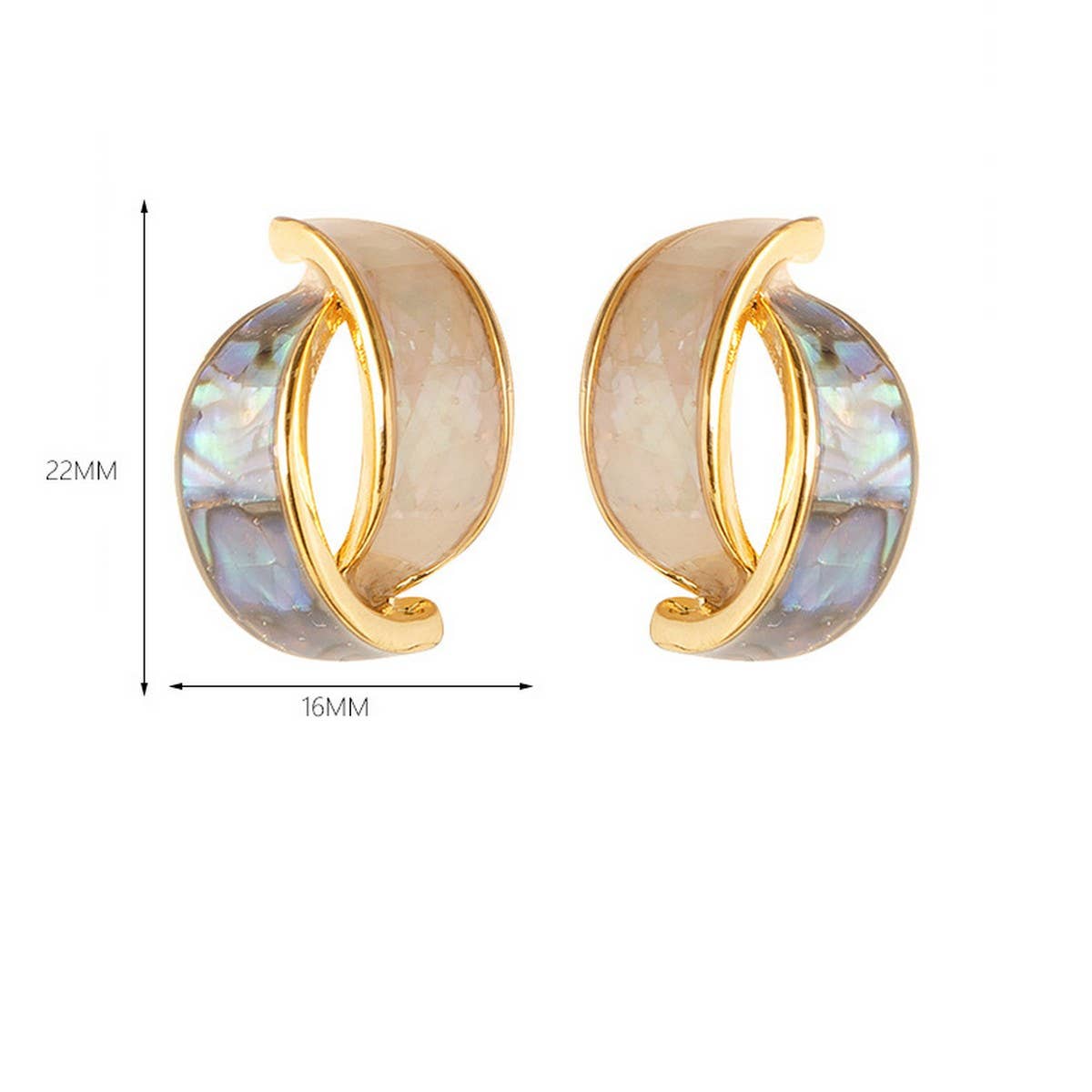 COLORFUL ABALONE INLAID SILVER NEEDLE EARRINGS_CWMM4291