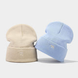 EMBROIDERED THICK WARM KNITTED HAT_CWAH2124