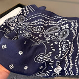 Paisley Herringbone Linen Feel Silk Scarf_Cwasc03310