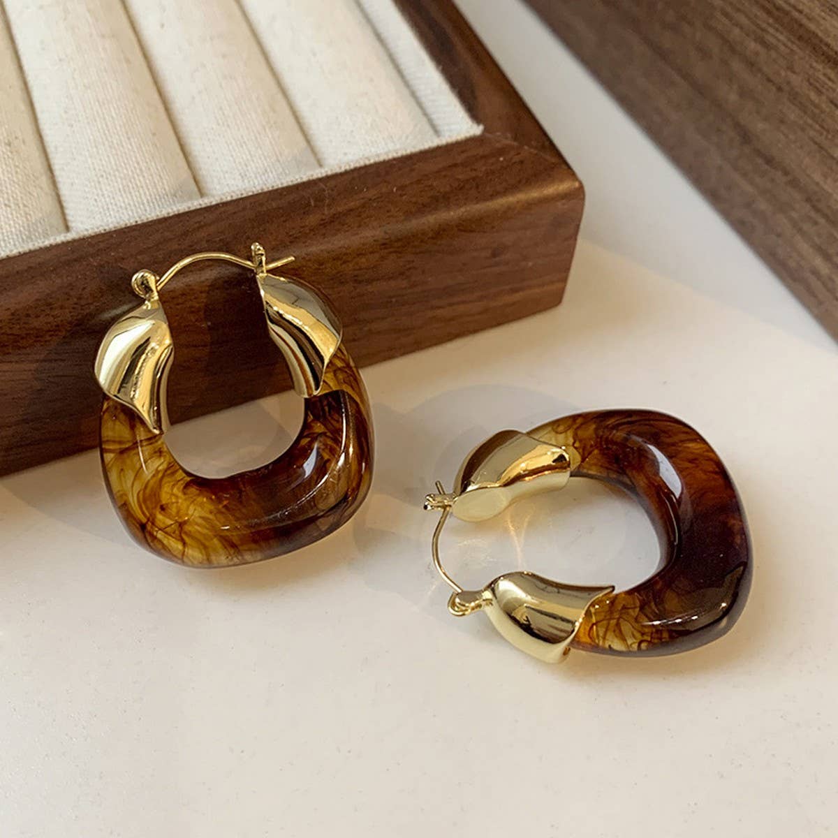 RETRO BROWN LIGHT LUXURY EARRINGS_CWASC1339