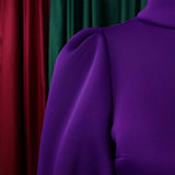 TEMPERAMENT HIGH COLLAR SLIM WAIST A LINE DRESS_CWDSD6086