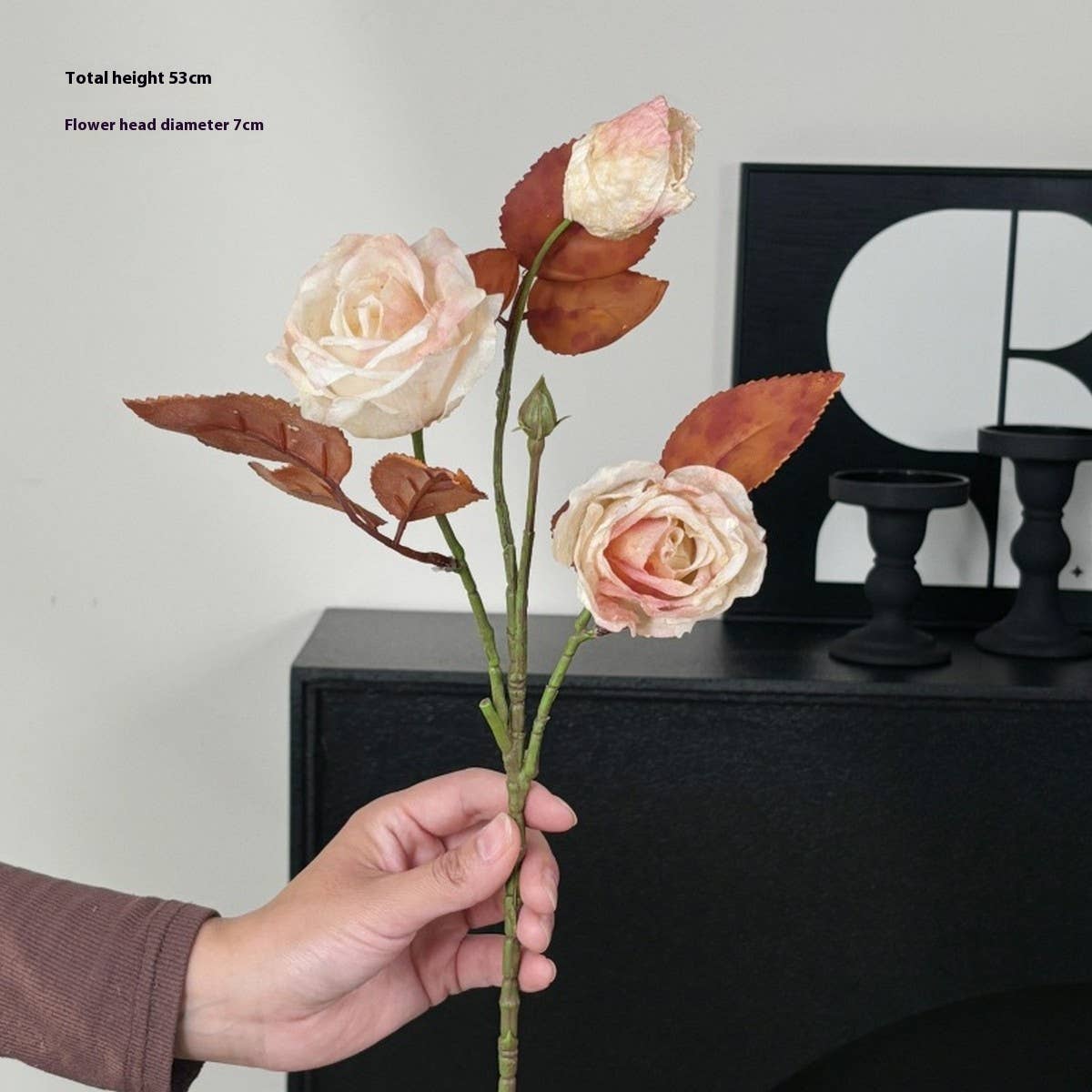 Vintage Autumn Oil Painting Burnt Rose_Cwmm6514