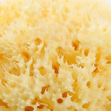 NATURAL SPONGE FOR WASHING FACE AND BATHING_CWMM3417