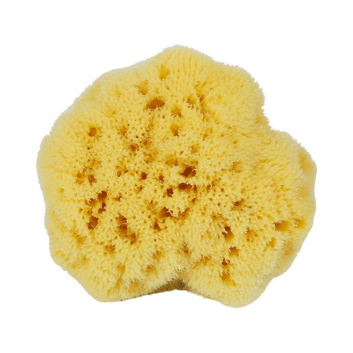 NATURAL COFFEE COLOR SPONGE HONEYCOMB SPONGE_CWMM3415