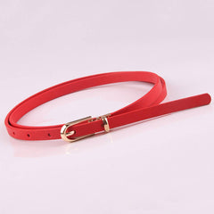 Cwabe0898_Versatile Pin Buckle Multi-Color Decorative Belt