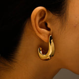 Unique Irregular 18K Steel Titanium Earrings_Cwmm8920