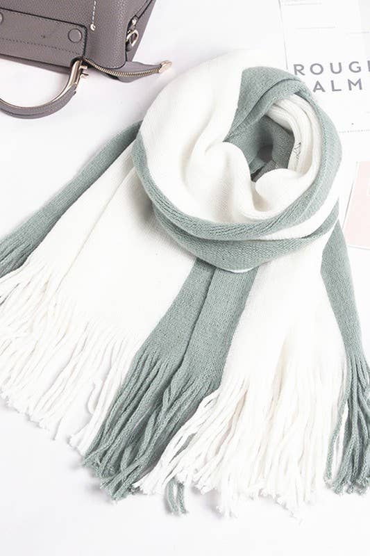 Colorblock Knit Scarf Long Fringe Winter Wrap