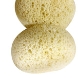 LARGE POROUS SEAWEED BATH SPONGE_CWMM3411