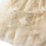 EMBROIDERED TULLE A LINE MAXI SKIRT PLUS SIZE_CWBMS0370