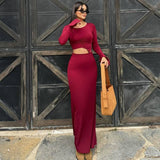 Solid Color Long Sleeve Sexy Long Skirt Dress
