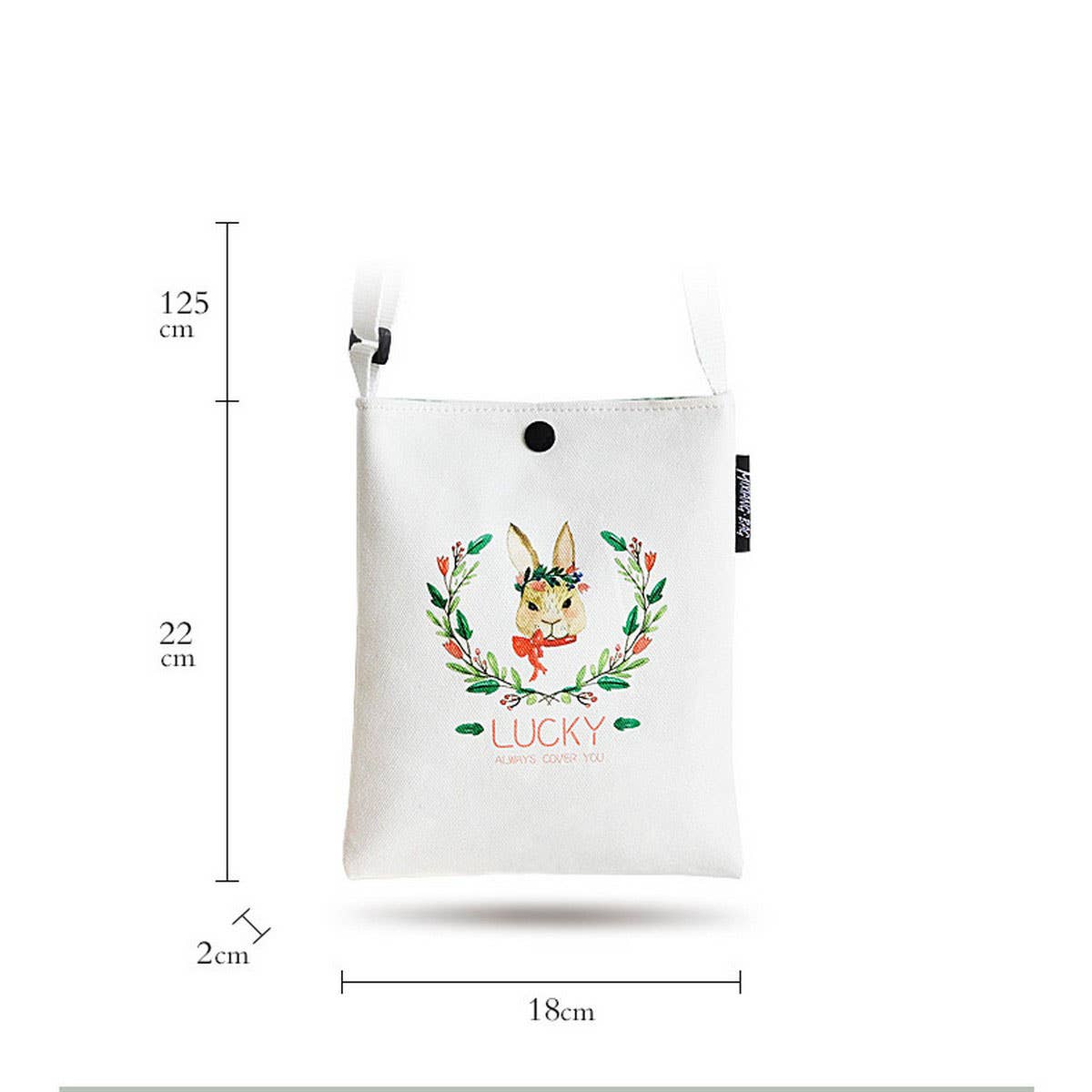 FASHIONABLE CANVAS MINI CROSSBODY BAG_CWAB5589