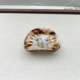 SWAN STAR ACETATE HAIR CLIPS WITH GODDESS DESIGN_CWAHA5715