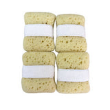 BATH SPONGE EXFOLIATING SPONGE BATH SPONGE_CWMM3404