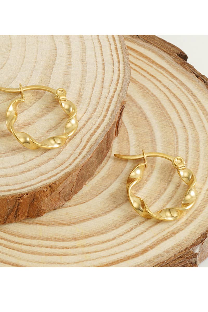 18K Gold Plated Stainless Steel Earrings_Cwaje0385