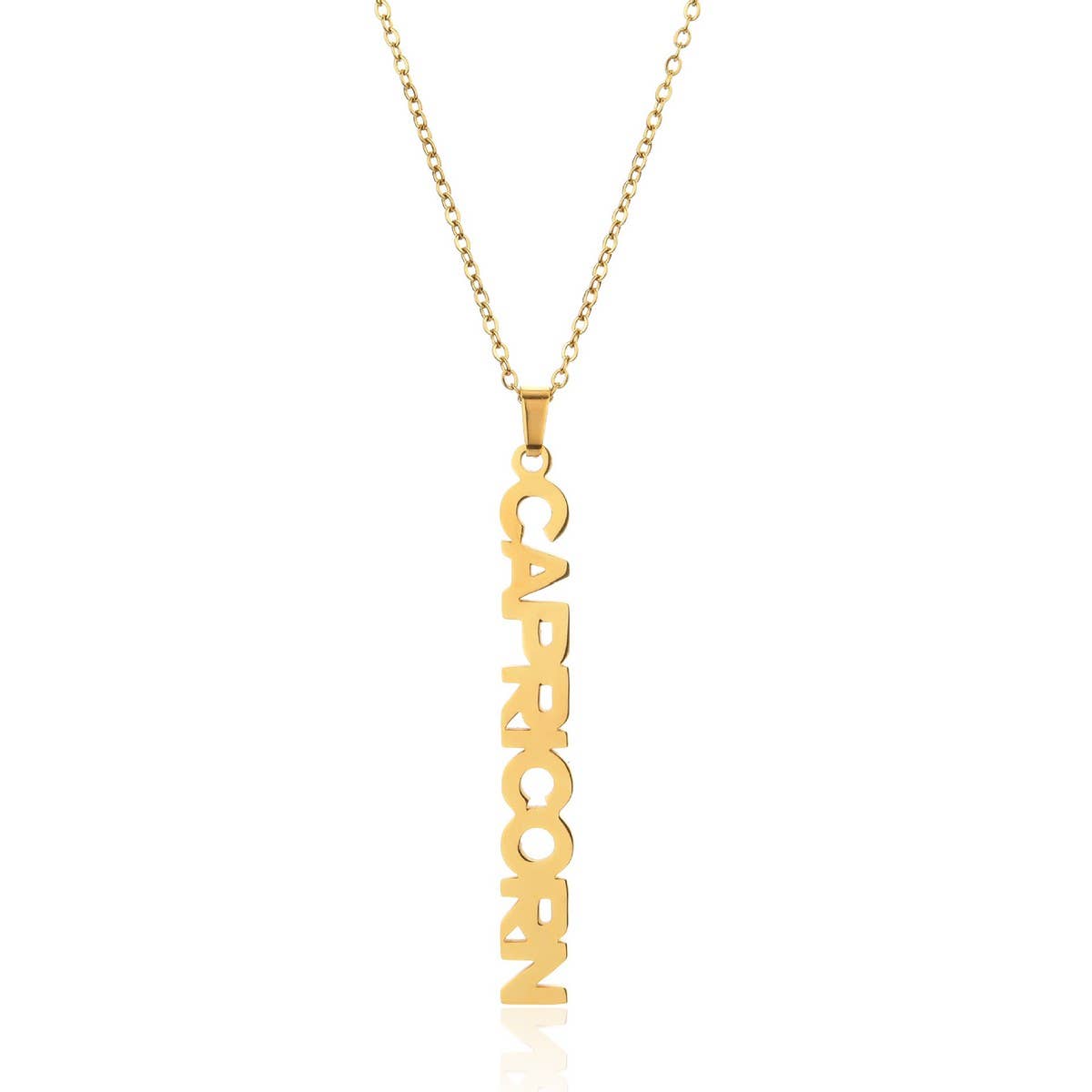 CLAVICLE CHAIN TWELVE ZODIAC TITANIUM NECKLACE_CWMM2717