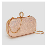 FASHIONABLE LADY EVENING BAG SHINY CLUTCH BAG_CWAB3243