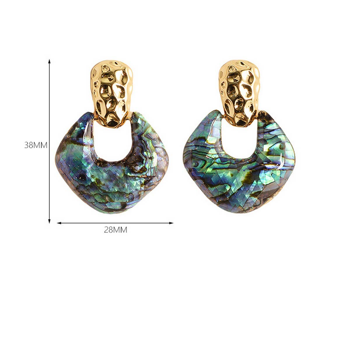 PERSONALIZED SNAKE PATTERN ABALONE EARRINGS_CWMM4285
