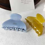 Elegant Acetate Claw Clip?Multicolor Half-Up Hair_Cwaha07221