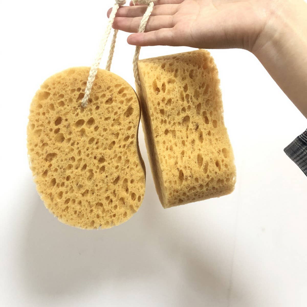 CLEANSING EXFOLIATING SPONGE BATH SCRUB_CWMM3406