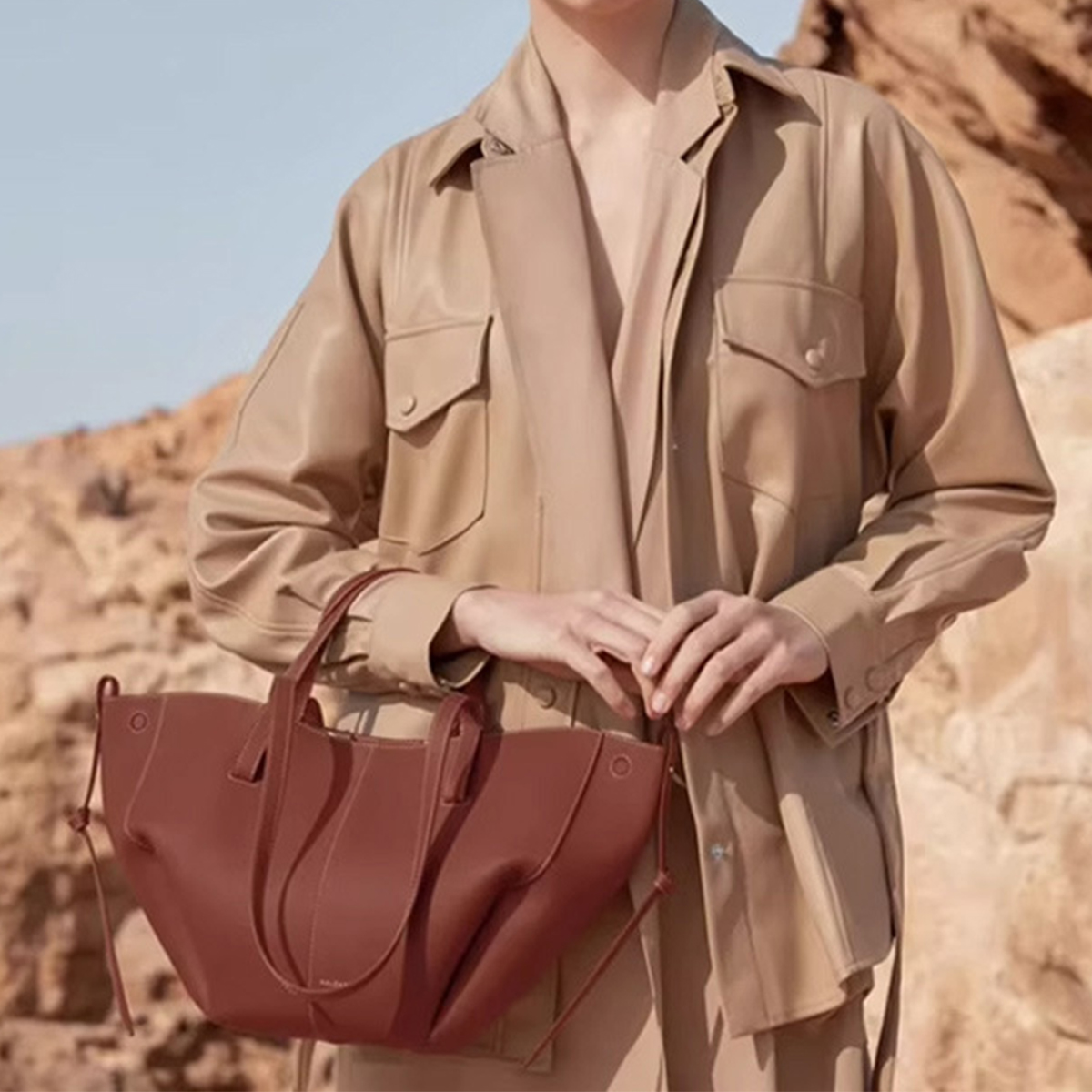 Vintage Winged Tote French Style Handbag_Cwab5322